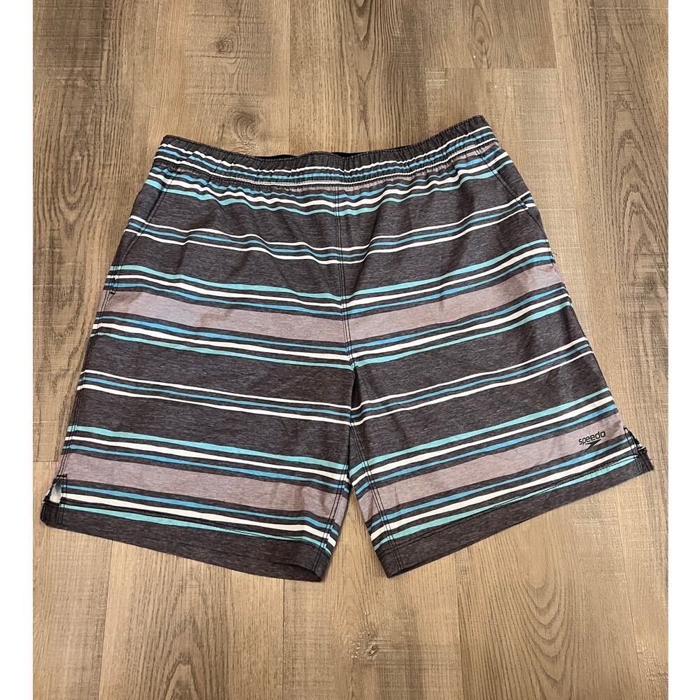 Speedo Men's Hydro Volley Swim Shorts - Striped Gray & Blue
